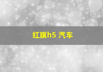 红旗h5 汽车